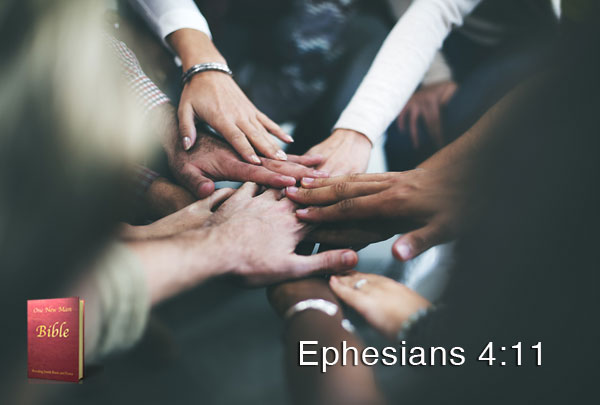 ephesians-4-11
